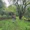Mazzola Safari House & Backpacking