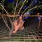 Mangoo Glamping
