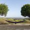 Mas de Baubesse: Paradise in Provence