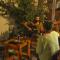 Sunset Hostel - Centro -