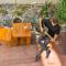 Sunset Hostel - Centro -
