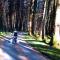 Foresters Retreat Glamping - Cambrian View- Vaccinated dogs over the age of 2 are accepted