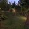 My Place Home & Garden