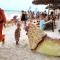 Sipano Beach Lodge Kiwengwa - 吉汶瓦
