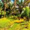 Encanto Lodge