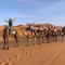 Traveler In Morocco camp