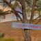Walk 2 Trails! Pet Friendly! Stunning Views!