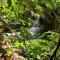 Ecoscape Jamaica - Cottages by the river