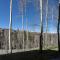 Aspen Ridge 2 by Alpine Lodging Telluride - تيلوريد