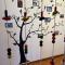 Euler House`s