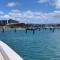 Pelicans Rest Shellharbour
