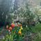 Apartament Blumenblick