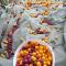 Organic Family Farm