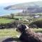 Beachview Cottage Co. Antrim