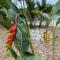 Playa Tortuga - Puerto Misahuallí