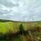 THREE BEDROOM Rural, relaxing and peaceful,DOGS welcome! With Cymru Holidays