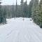Bristlecone Cabin