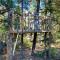 Bristlecone Cabin
