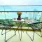 The Sóng- ThuanChi Luxury Apartment - 头顿