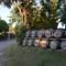 Room in Guest room - Guest Room in the heart of the vineyard - Badens