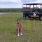 Lindi Lodge, Mjejane Game Reserve