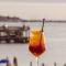 Enjoy Punta del Este Enjoy Punta del Este
