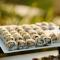 JW Marriott Marco Island Beach Resort - جزيرة ماركو