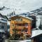 Hotel Piccolo Tibet - ليفينو