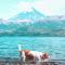 Cuatro Vientos Patagonia - Lago Huechulafquen