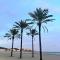 A 50 m de la plage