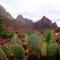 Cactus Rose Villa with 2 Pools 2 Spas Gym