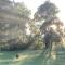 Nurture Creek