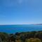 Little Cuttlefish on Kangaroo Island - Penneshaw