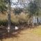 Oak Island Oasis