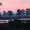 Little Creek - Lodges in het natuurgebied