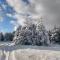 Kolimechkov Apartments Borovets - 波罗维茨