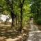 Camping - Village Vacances Familial à Prayssac au coeur du vignoble Lotois