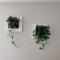 Luna House & Cowork