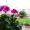 Guesthouse Natalija