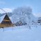 Pine Chalet Kazbegi