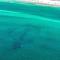 Chateau La Mer II #103- Dreamland Destin - Destin