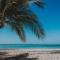 Aruba Dreams Take Me Away Studio
