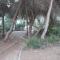 New apartment with sea view of Andrew and Natallia - Campoamor