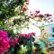 Colorful Garden House - Providencia