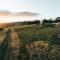 Wander on Kangaroo Island - Stokes Bay