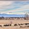 Beautiful Ranch Home with Cascade Mountain View - 鲍威尔比尤特 Beautiful Ranch Home with Cascade Mountain View - 鲍威尔比尤特