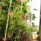 Bou Savy Guesthouse