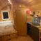 Conifer Cabins