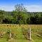 Wollombi Wines