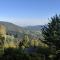 Apigîte68, proche route des vins, Vosges, Colmar et non loin d'Europa-Park! - 奥斯泰姆